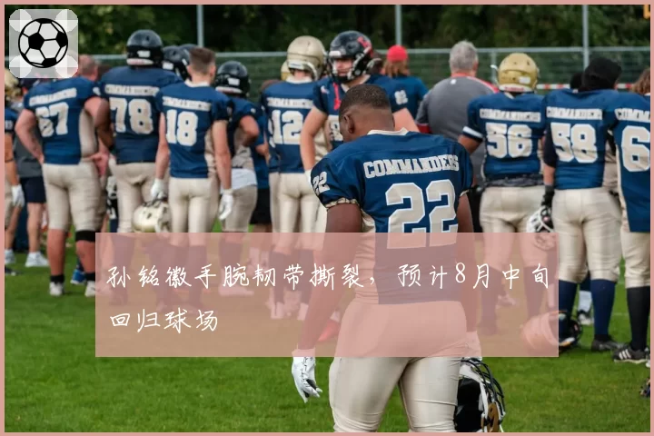孙铭徽手腕韧带撕裂，预计8月中旬回归球场
